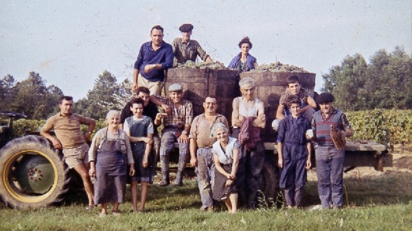 Famille Mounet